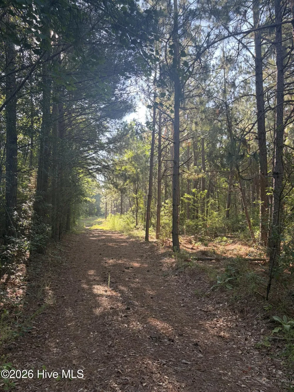 Tbd Jones Spring Church Road Ellerbe, NC 28338