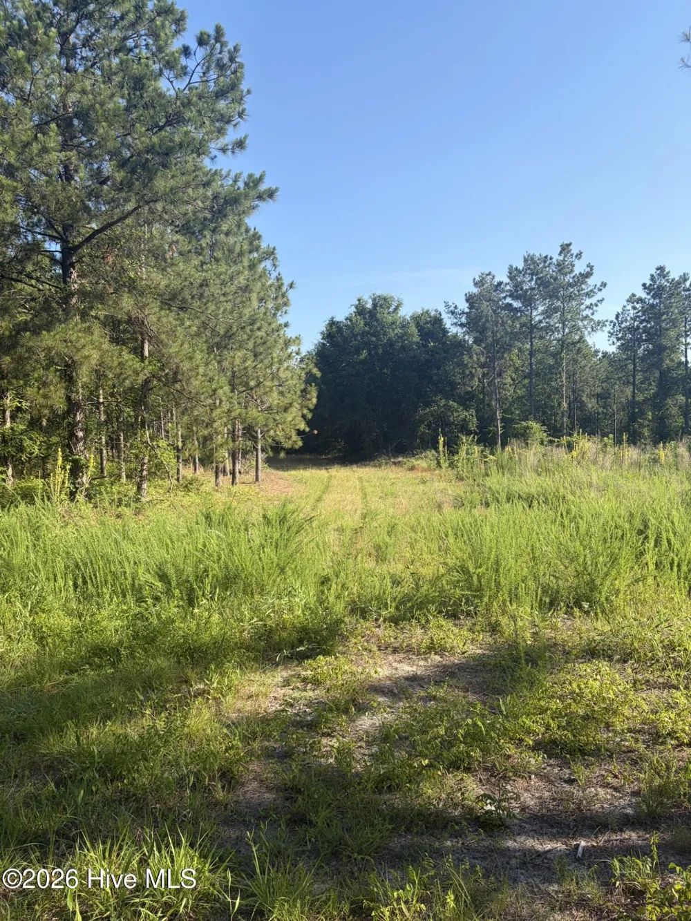 Tbd Jones Spring Church Road Ellerbe, NC 28338