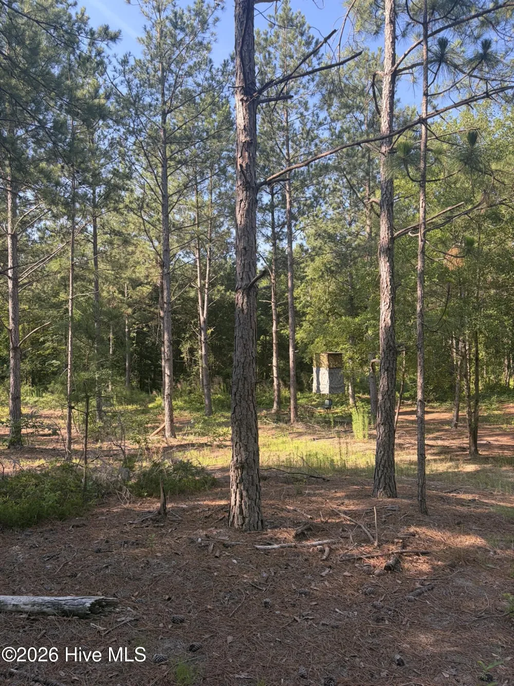 Tbd Jones Spring Church Road Ellerbe, NC 28338