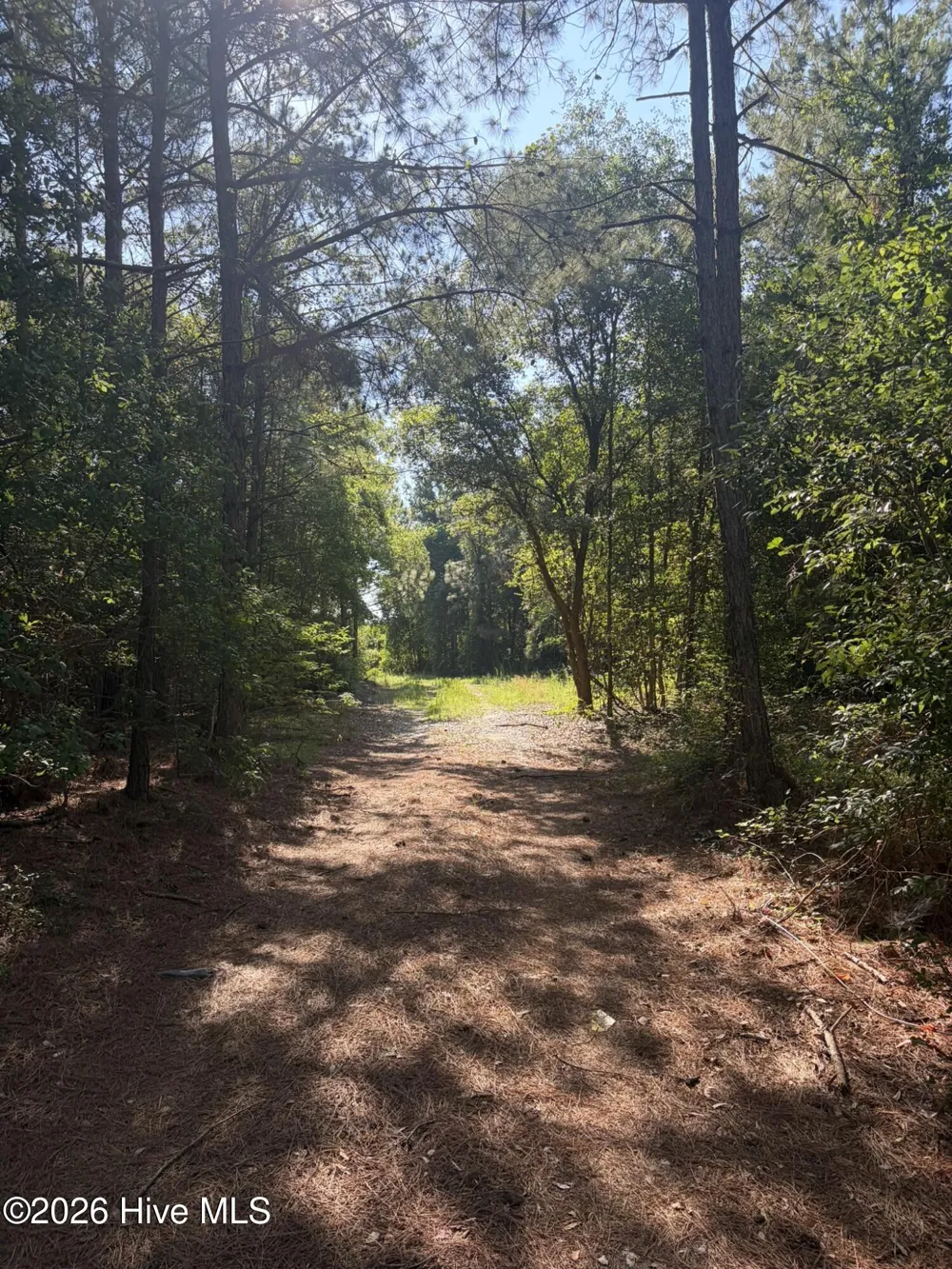Tbd Jones Spring Church Road Ellerbe, NC 28338
