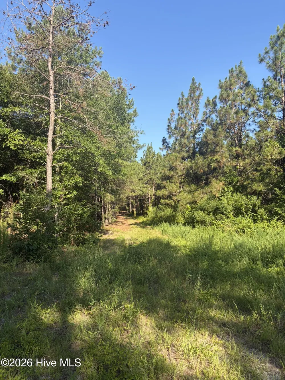 Tbd Jones Spring Church Road Ellerbe, NC 28338
