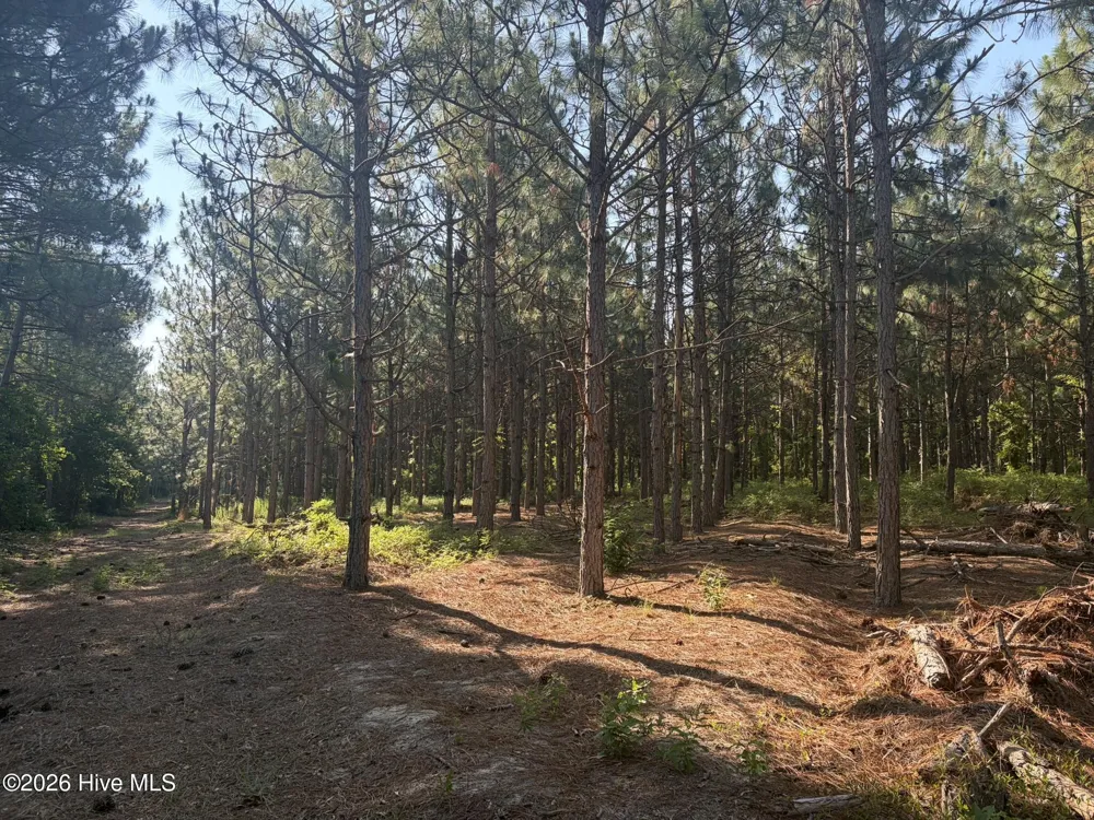 Tbd Jones Spring Church Road Ellerbe, NC 28338