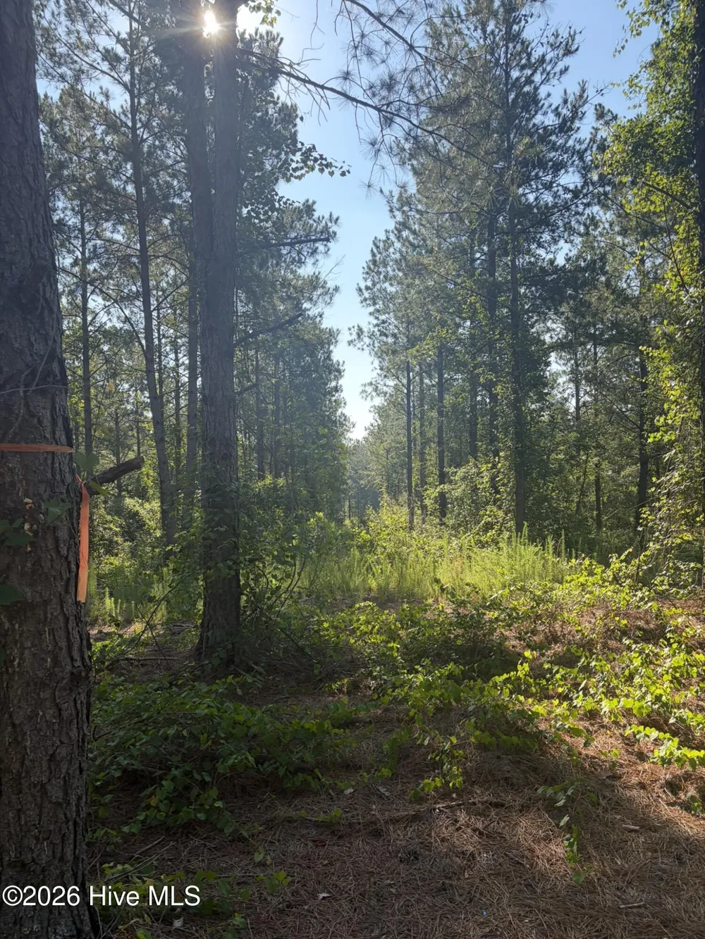 Tbd Jones Spring Church Road Ellerbe, NC 28338