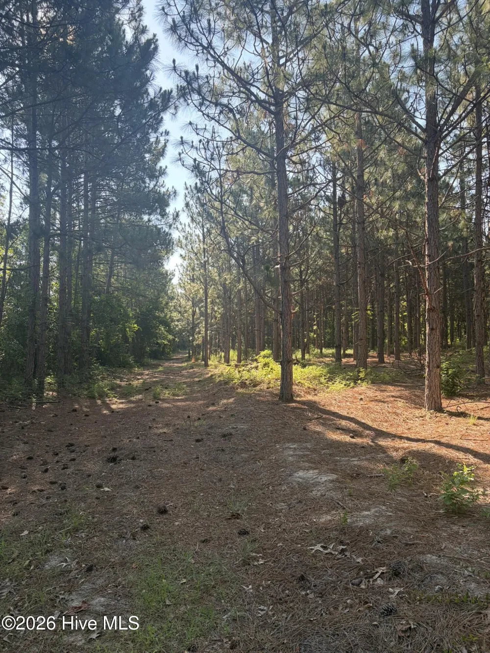 Tbd Jones Spring Church Road Ellerbe, NC 28338