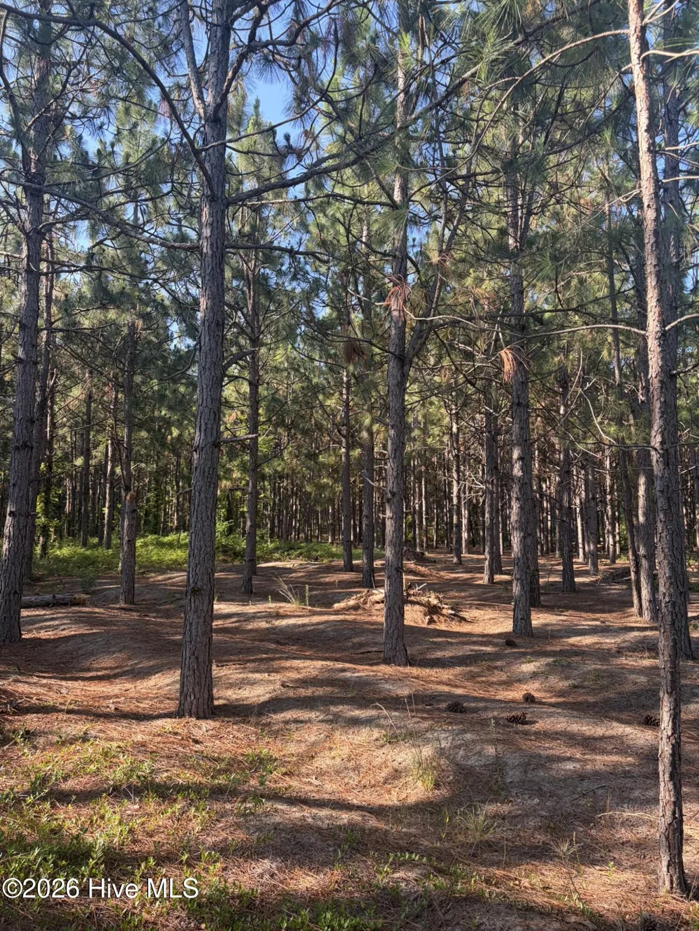 Tbd Jones Spring Church Road Ellerbe, NC 28338