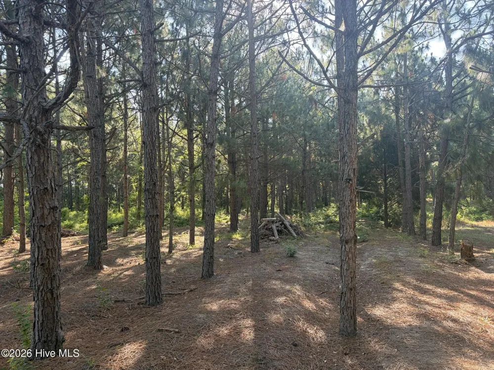 Tbd Jones Spring Church Road Ellerbe, NC 28338