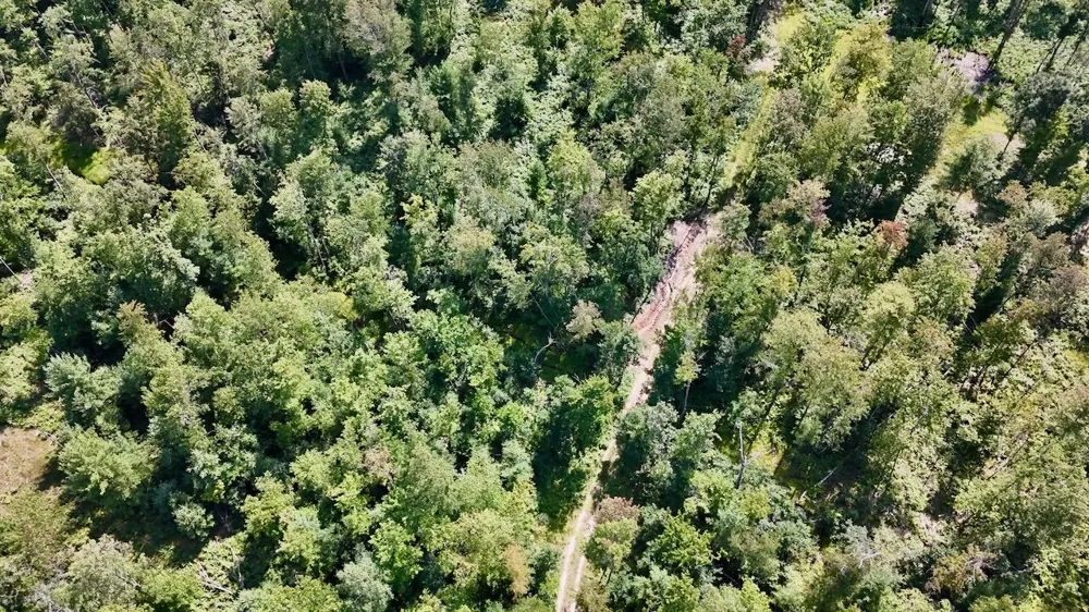 7 Down To Earth Way Prescott, MI 48756