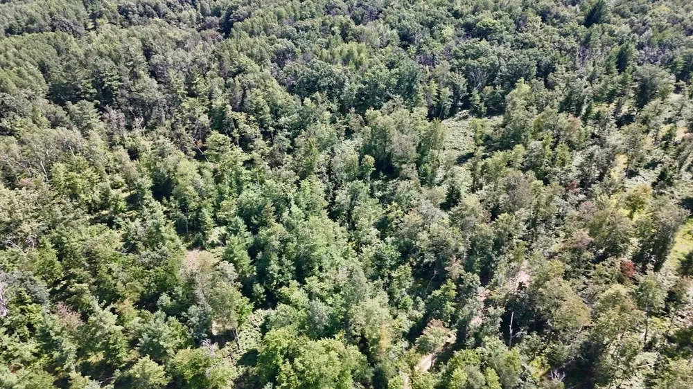 7 Down To Earth Way Prescott, MI 48756
