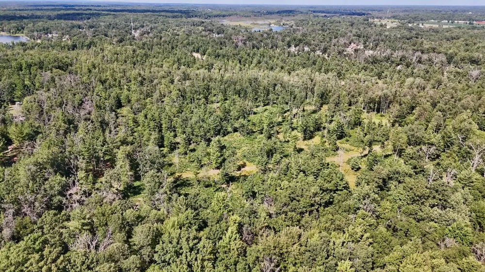 7 Down To Earth Way Prescott, MI 48756