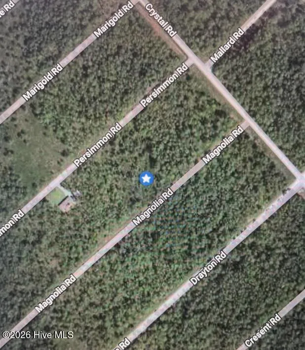 323 Magnolia Road Boiling Spring Lakes, NC 28461