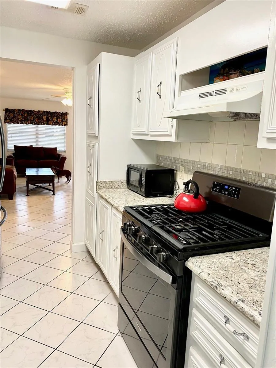 10032 65TH AVENUE #17 St Petersburg, FL 33708