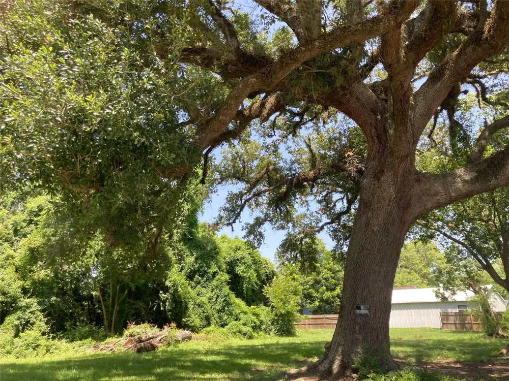 125 Shady Lane West Columbia, TX 77486