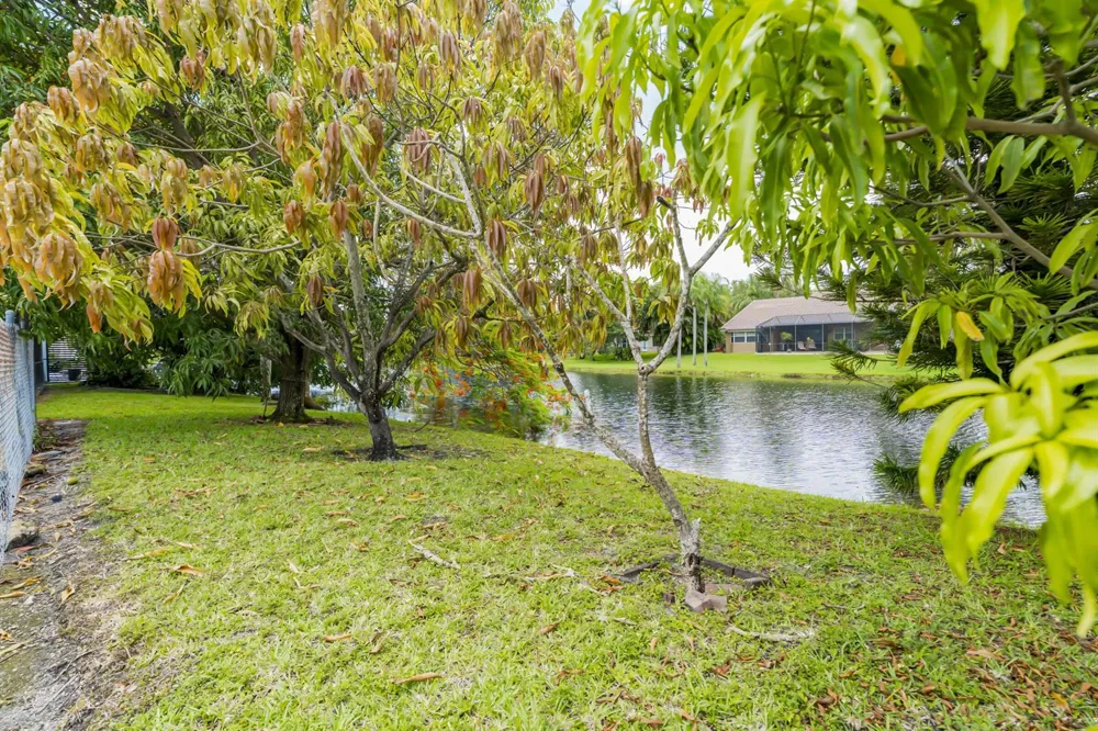 1541 SW 102nd Terrace Davie, FL 33324