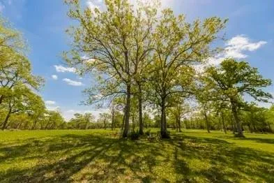 11000 Fm 974 Bryan, TX 77808
