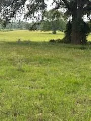 11000 Fm 974 Bryan, TX 77808