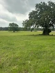 11000 Fm 974 Bryan, TX 77808
