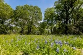 11000 Fm 974 Bryan, TX 77808