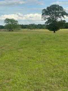 11000 Fm 974 Bryan, TX 77808