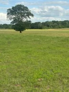 11000 Fm 974 Bryan, TX 77808