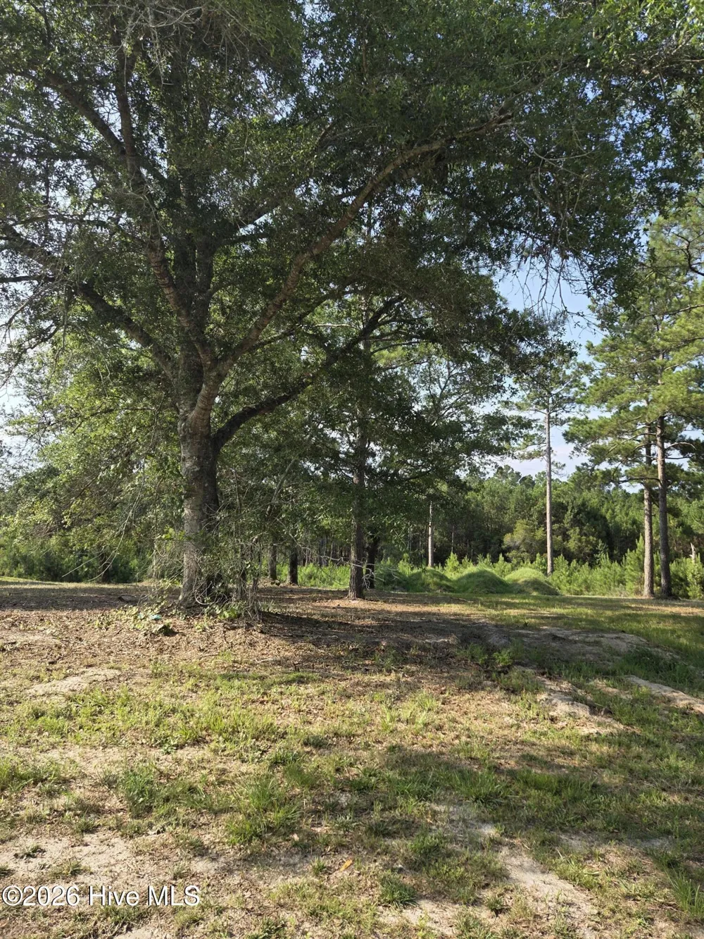 7547 Wallace Place SW Sunset Beach, NC 28468