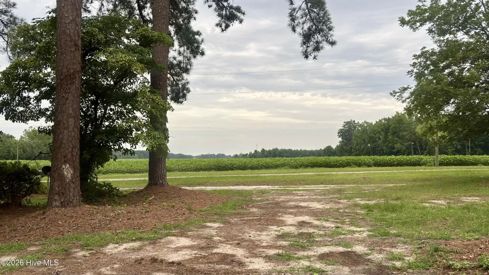 247 Vaughans Creek Road Murfreesboro, NC 27855