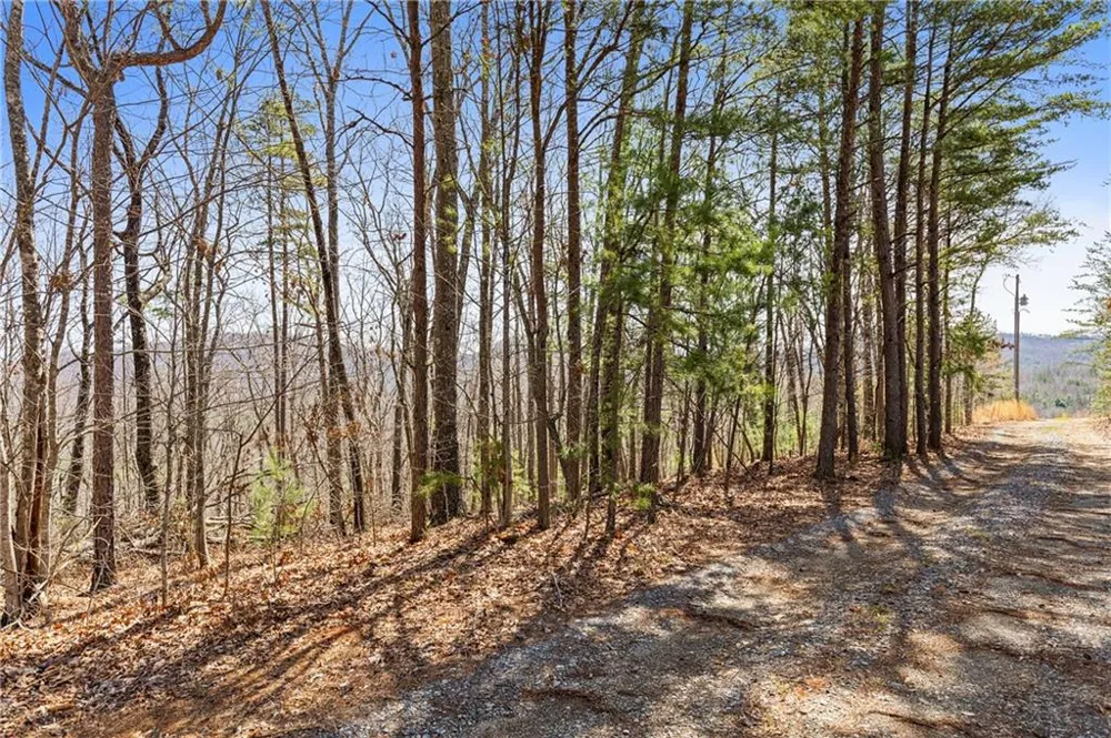 40B Synacia Road Mineral Bluff, GA 30559
