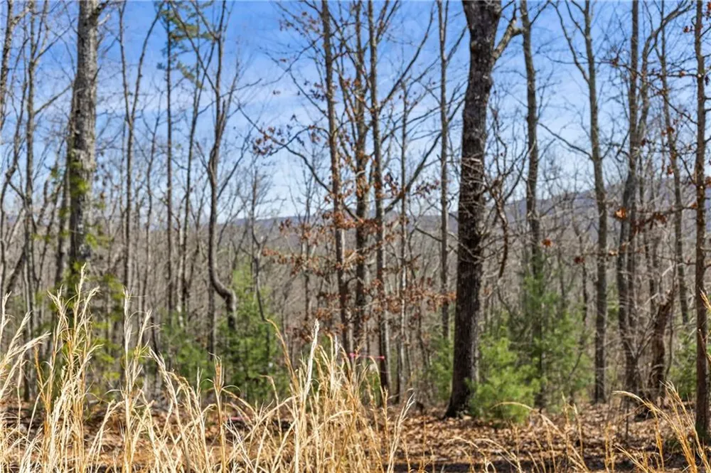 40B Synacia Road Mineral Bluff, GA 30559
