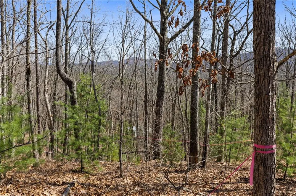 40B Synacia Road Mineral Bluff, GA 30559