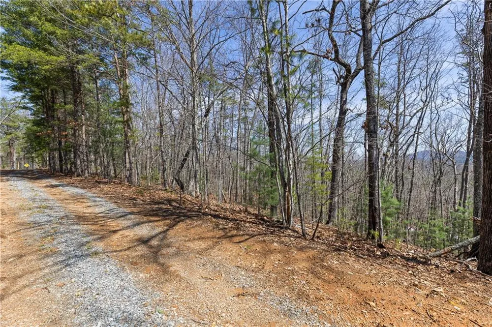 40B Synacia Road Mineral Bluff, GA 30559