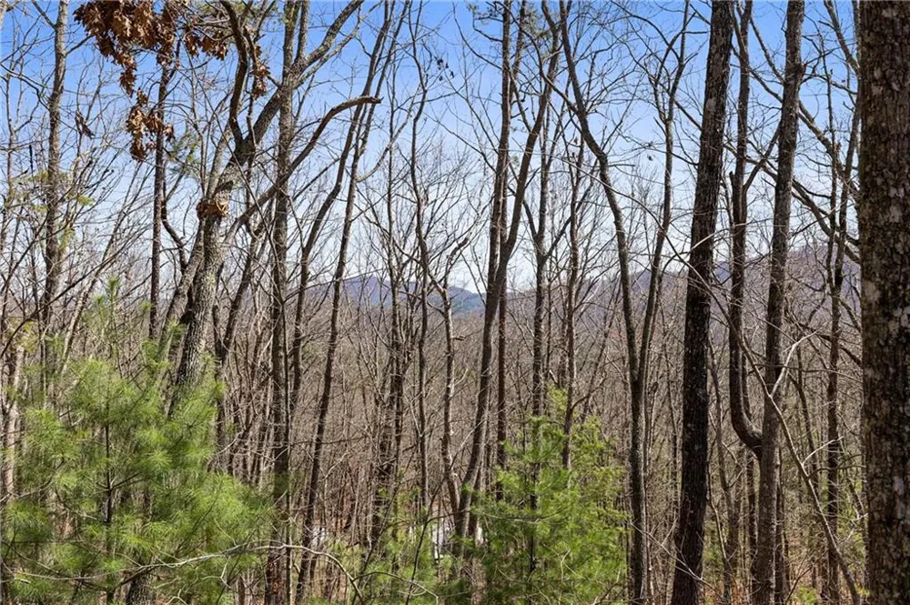 40B Synacia Road Mineral Bluff, GA 30559