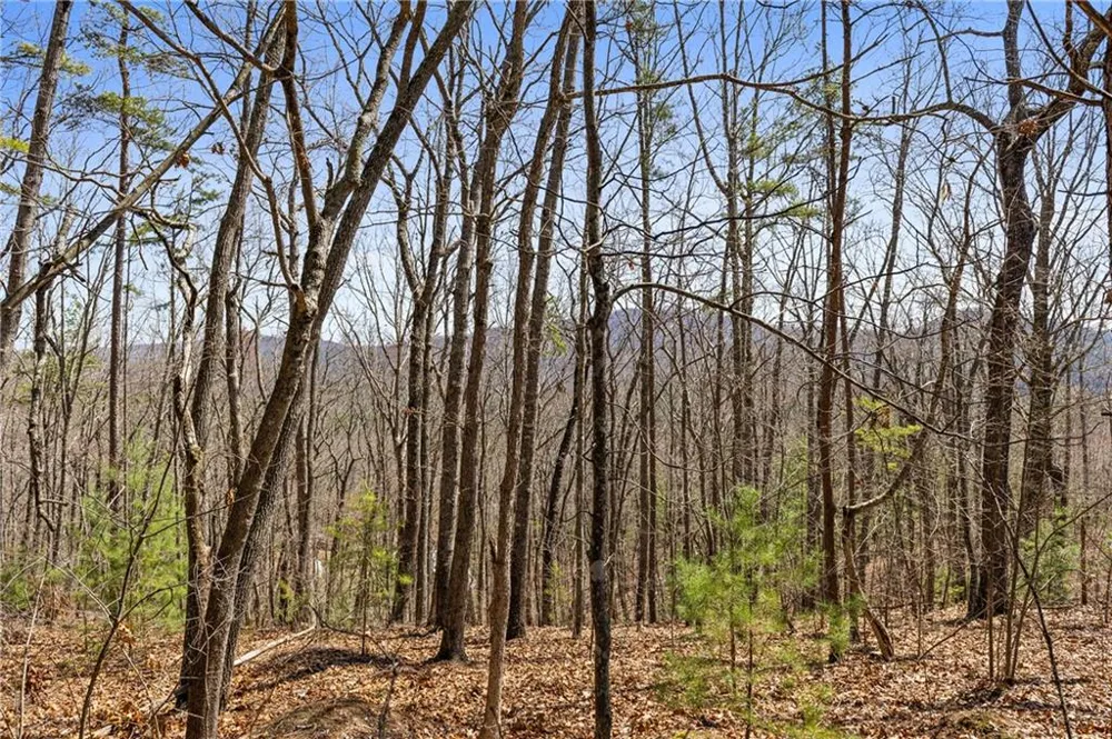 40B Synacia Road Mineral Bluff, GA 30559
