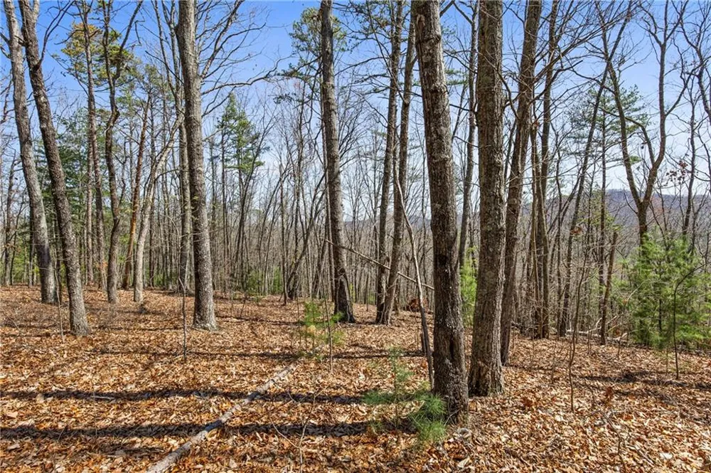 40B Synacia Road Mineral Bluff, GA 30559
