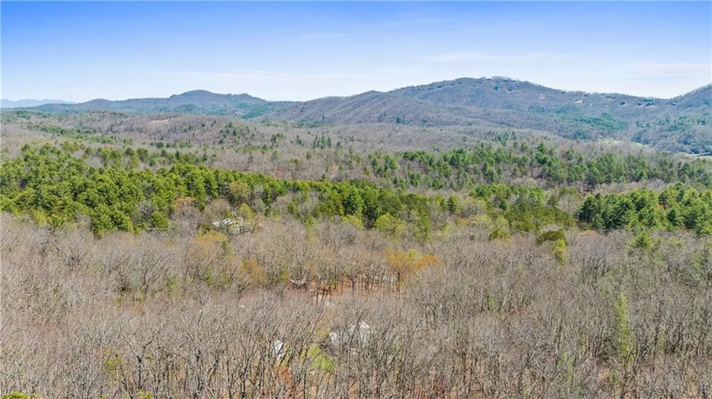 40B Synacia Road Mineral Bluff, GA 30559