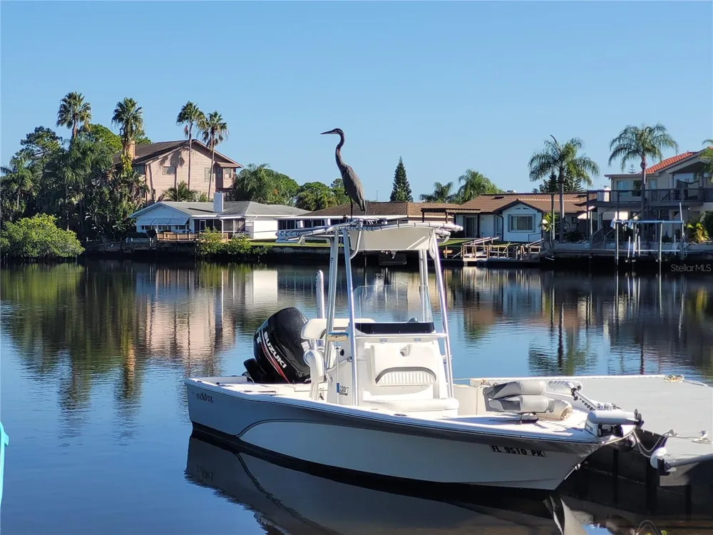 5717 SEABREEZE DRIVE Port Richey, FL 34668