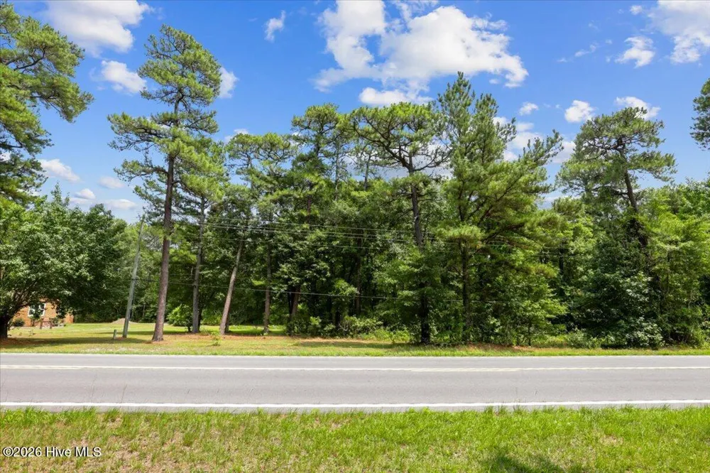 5199 Hwy 258 S Deep Run, NC 28525