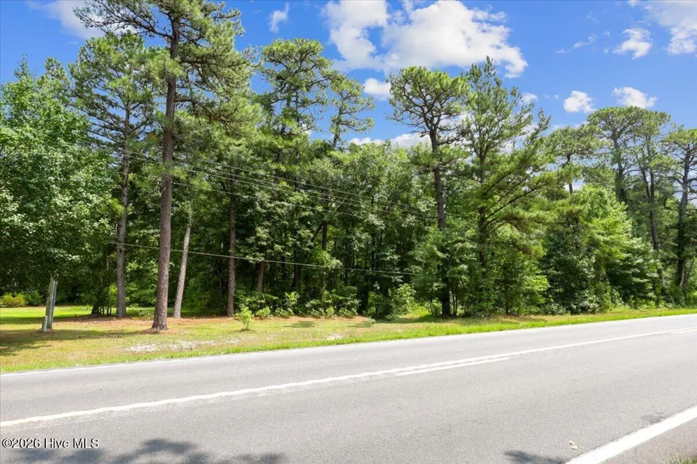 5199 Hwy 258 S Deep Run, NC 28525