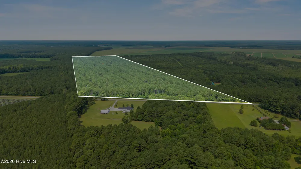 0 Indian Hill Road Willard, NC 28478