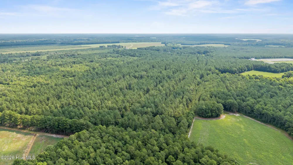 0 Indian Hill Road Willard, NC 28478