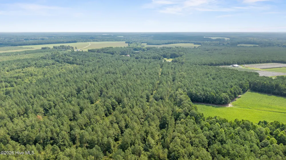 0 Indian Hill Road Willard, NC 28478
