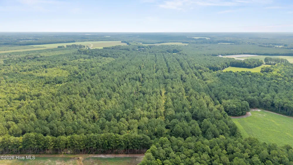 0 Indian Hill Road Willard, NC 28478