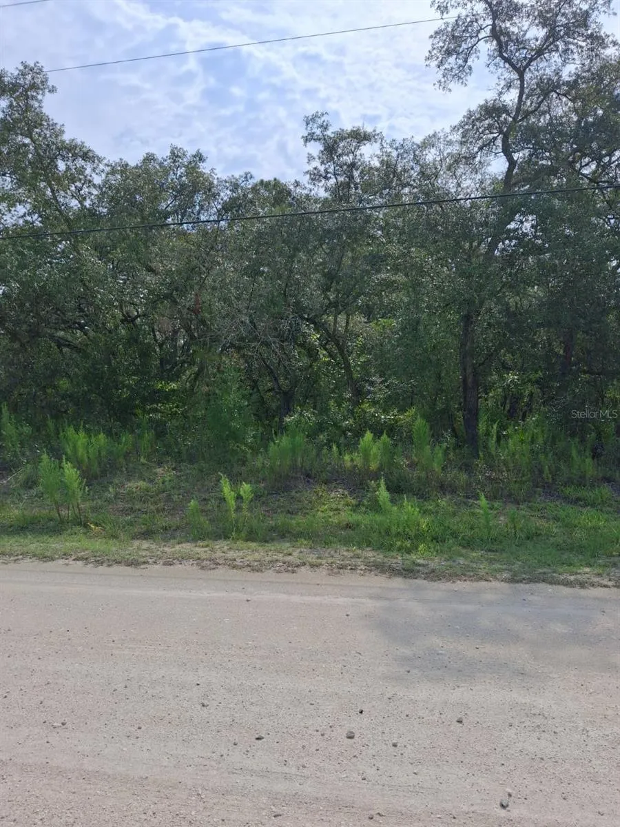 18364 PARAKEET ROAD Weeki Wachee, FL 34614