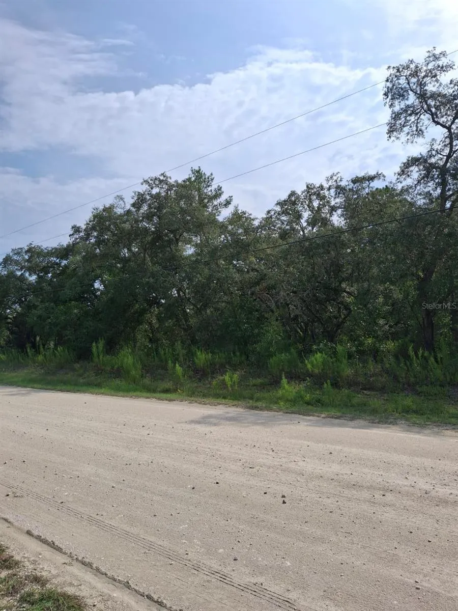 18364 PARAKEET ROAD Weeki Wachee, FL 34614