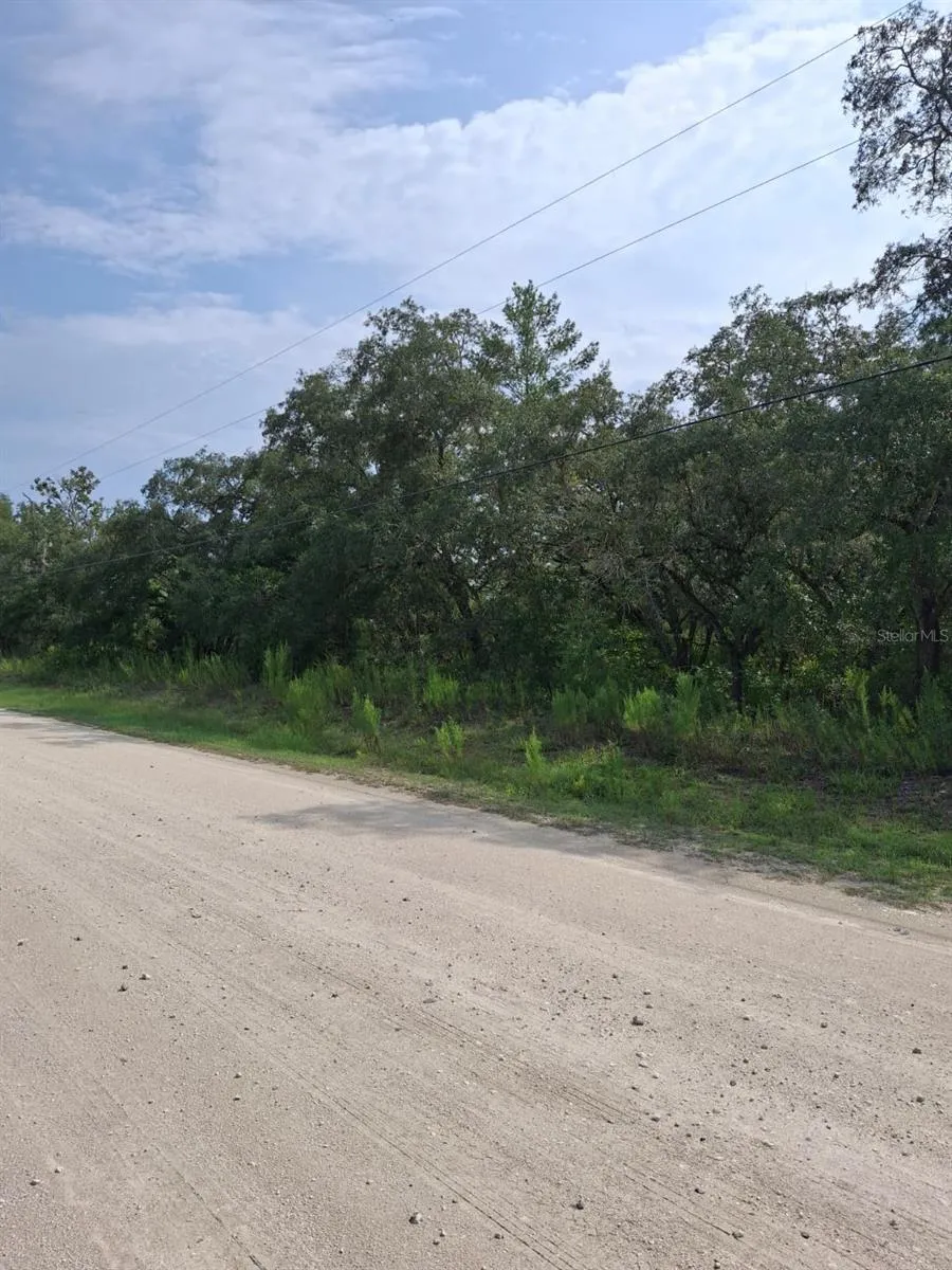 18364 PARAKEET ROAD Weeki Wachee, FL 34614