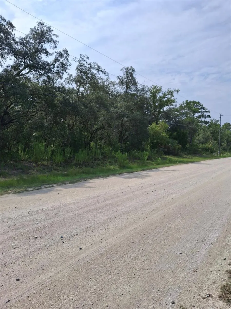 18364 PARAKEET ROAD Weeki Wachee, FL 34614