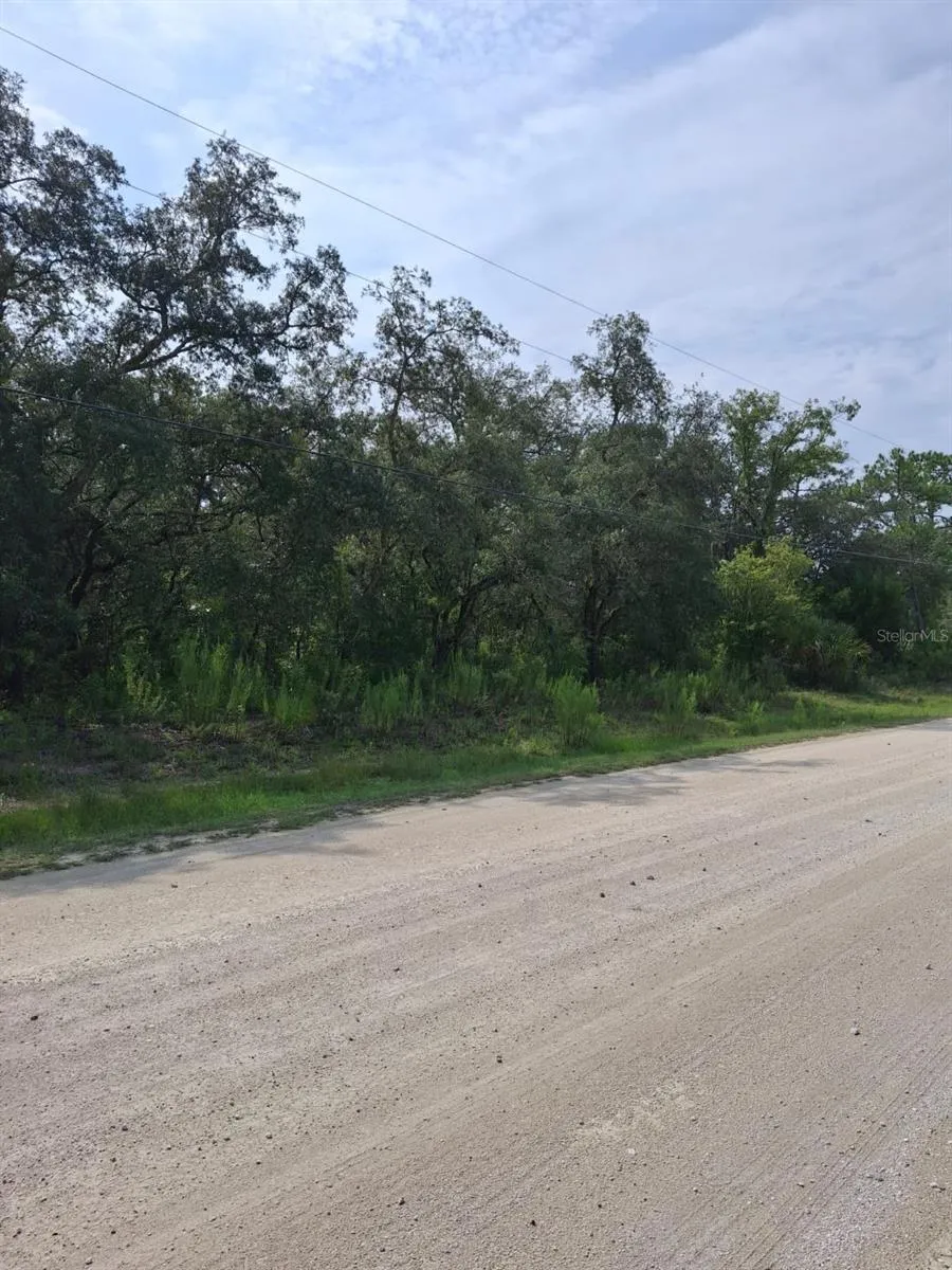 18364 PARAKEET ROAD Weeki Wachee, FL 34614