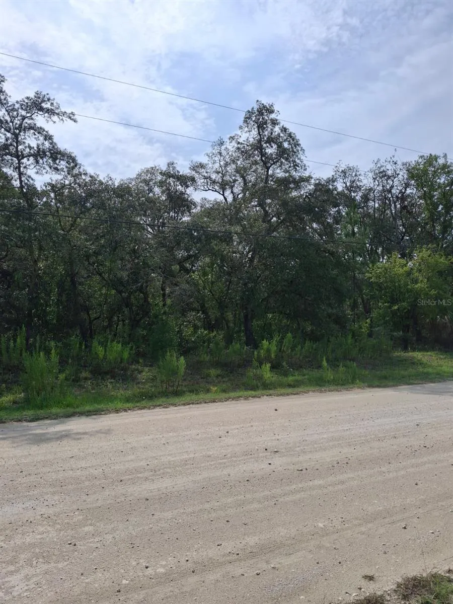 18364 PARAKEET ROAD Weeki Wachee, FL 34614