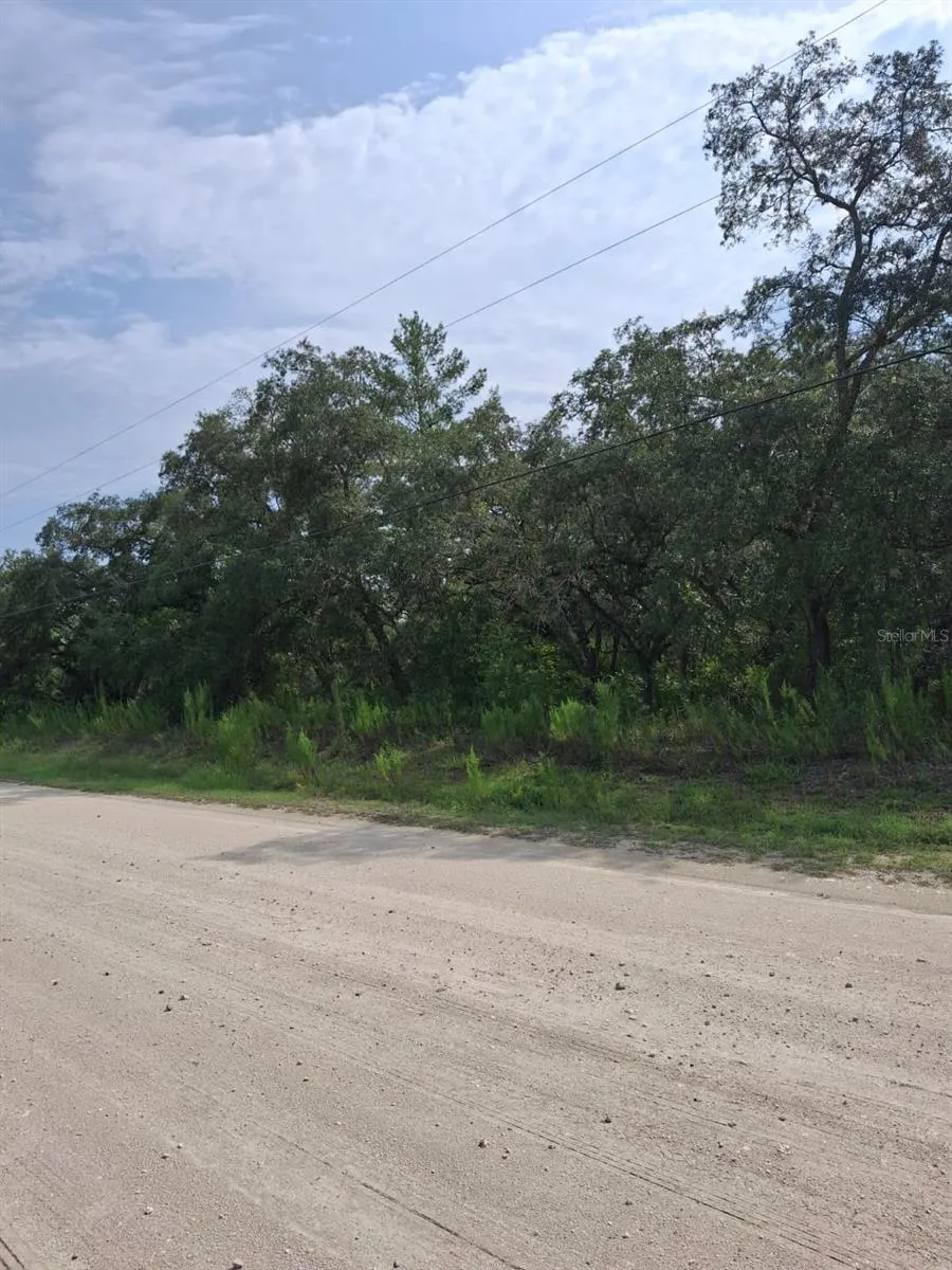 18364 PARAKEET ROAD Weeki Wachee, FL 34614