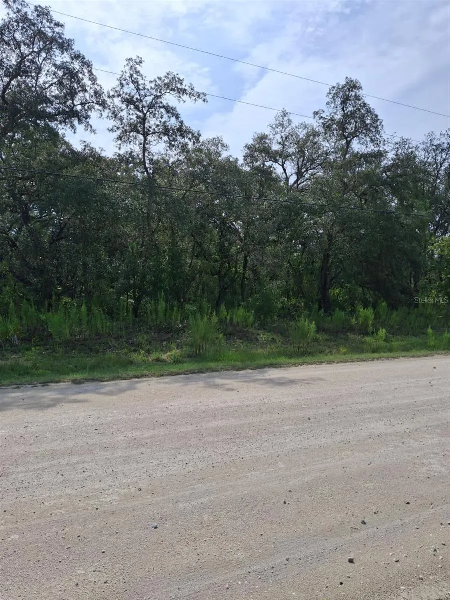 18364 PARAKEET ROAD Weeki Wachee, FL 34614