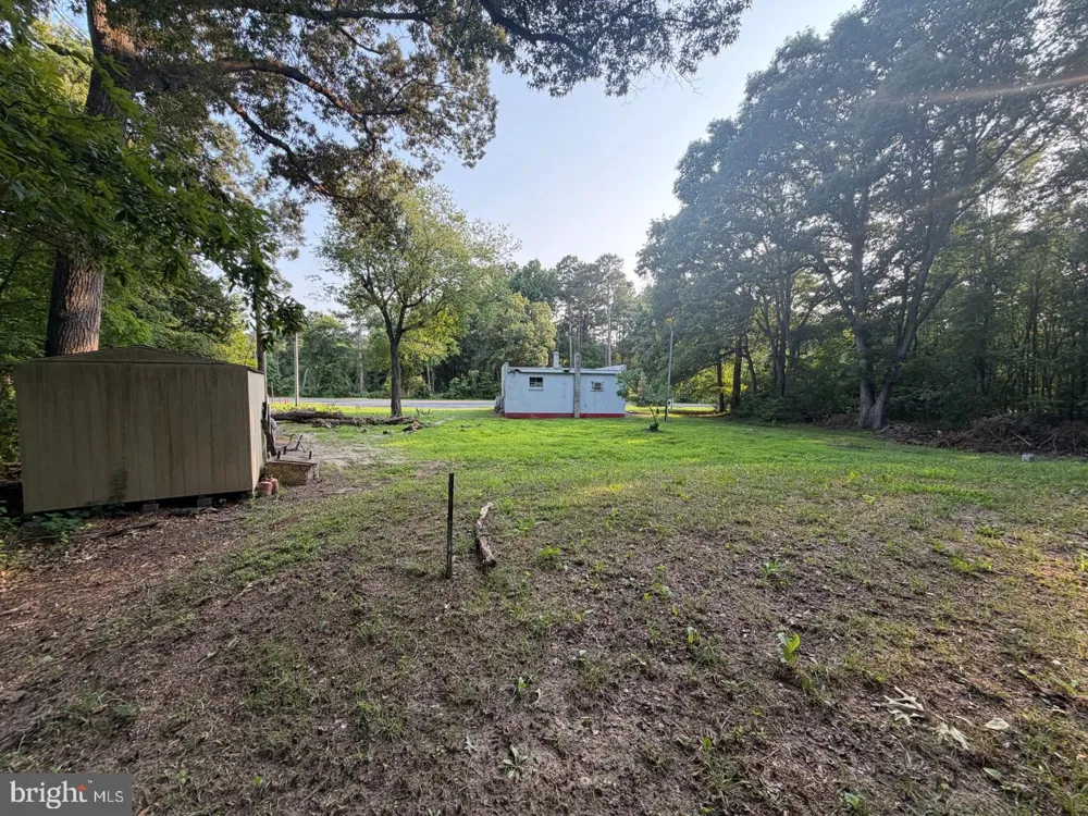 20587 MILTON ELLENDALE HIGHWAY Ellendale, DE 19941