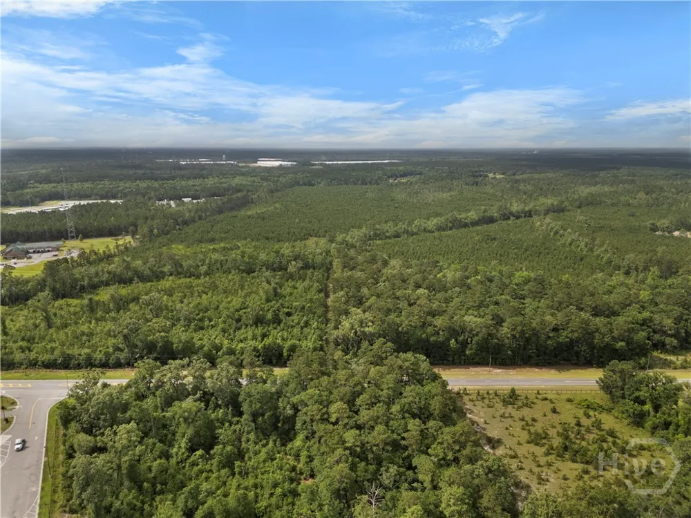 Rahn Station Road Rincon, GA 31326